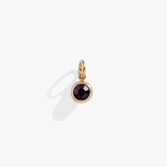 February Birthstone Interchangeable Charm